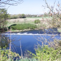 The Leven Programme identified as potential model for global green recovery