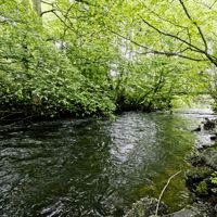 Accessible Rivers Photography Competition