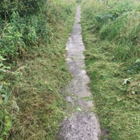 Work underway to clear footpaths within Levenmouth