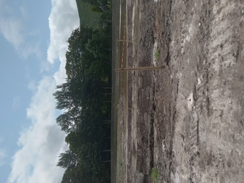 Fodderty during construction