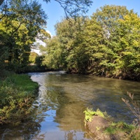 Leven River Park: Nature Network 'Apple Day' event