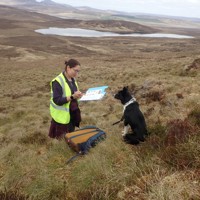 A September Walk: Wildlife and Plants Around the Site