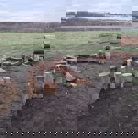 New Life Along the River Park: Play, Paths and Places to Explore