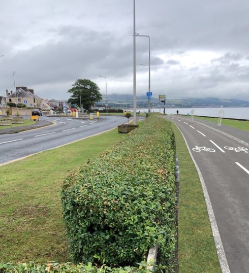 A visual image showing a road and a two-way cycling lane separated by a strip of greenspace and hedge.