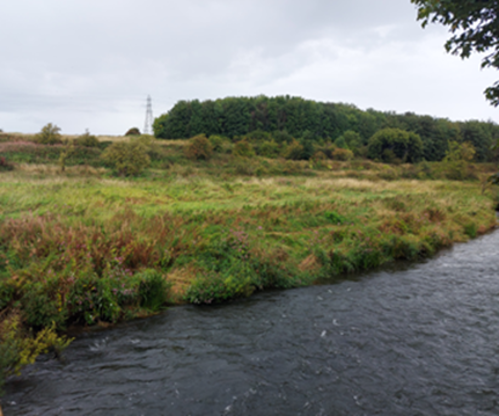 An image displaying how the river looks before any restoration.